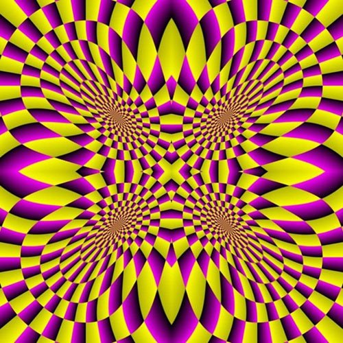 536539_221472474626971_100002926616168_424057_132540477_n